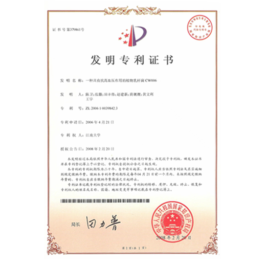 陜西英童——發明專利證書
